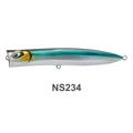 NS234
