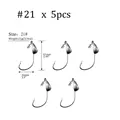 5pcs 21g