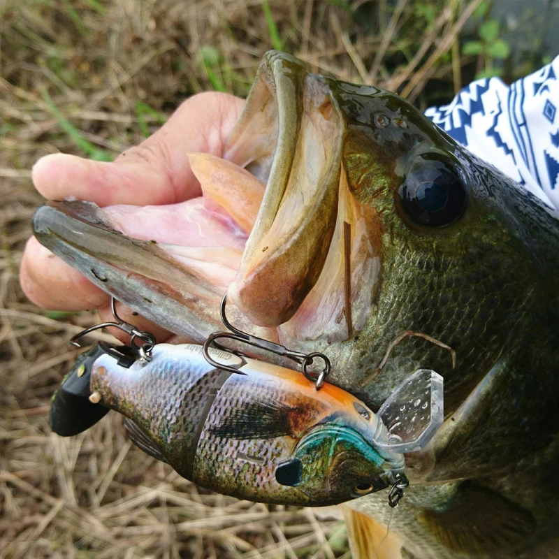Cebo de natación pequeño Imakatsu de Japón GILLROID Sunfish Minnie cebo de señuelo con revestimiento 3D ultrafino - imagen 4