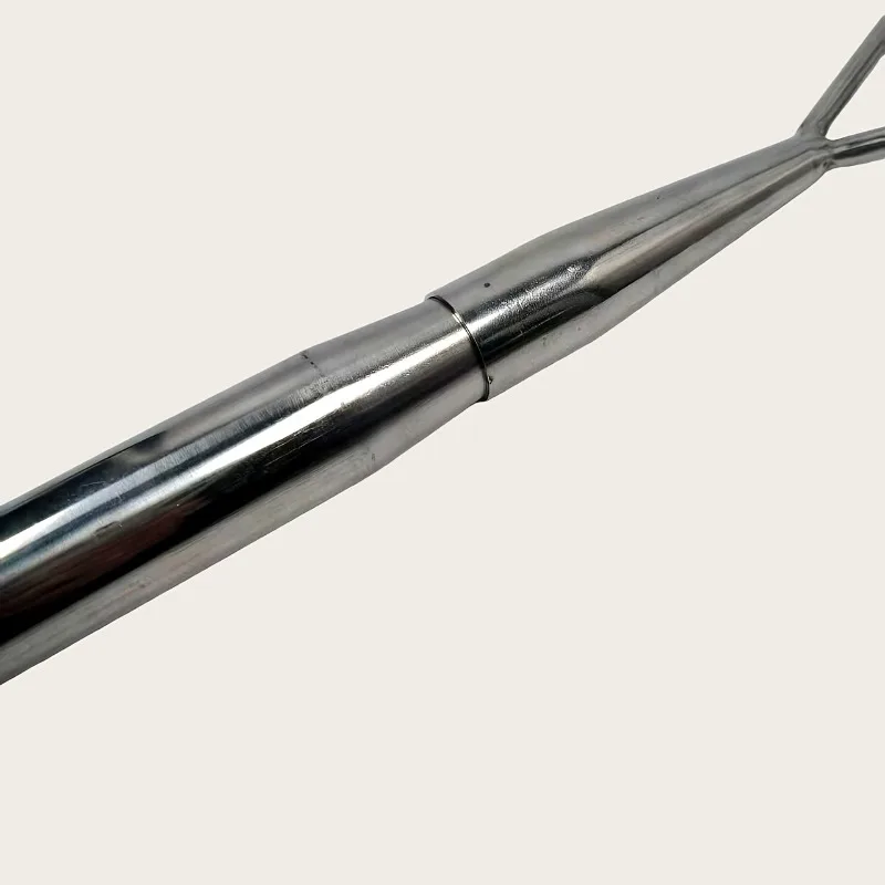 Gancho Gaff de doble cabezal de acero inoxidable, herramienta de pesca en hielo, cabezal de una sola/doble punta, herramienta de pesca salvaje esencial para playa, 1 ud. - imagen 5