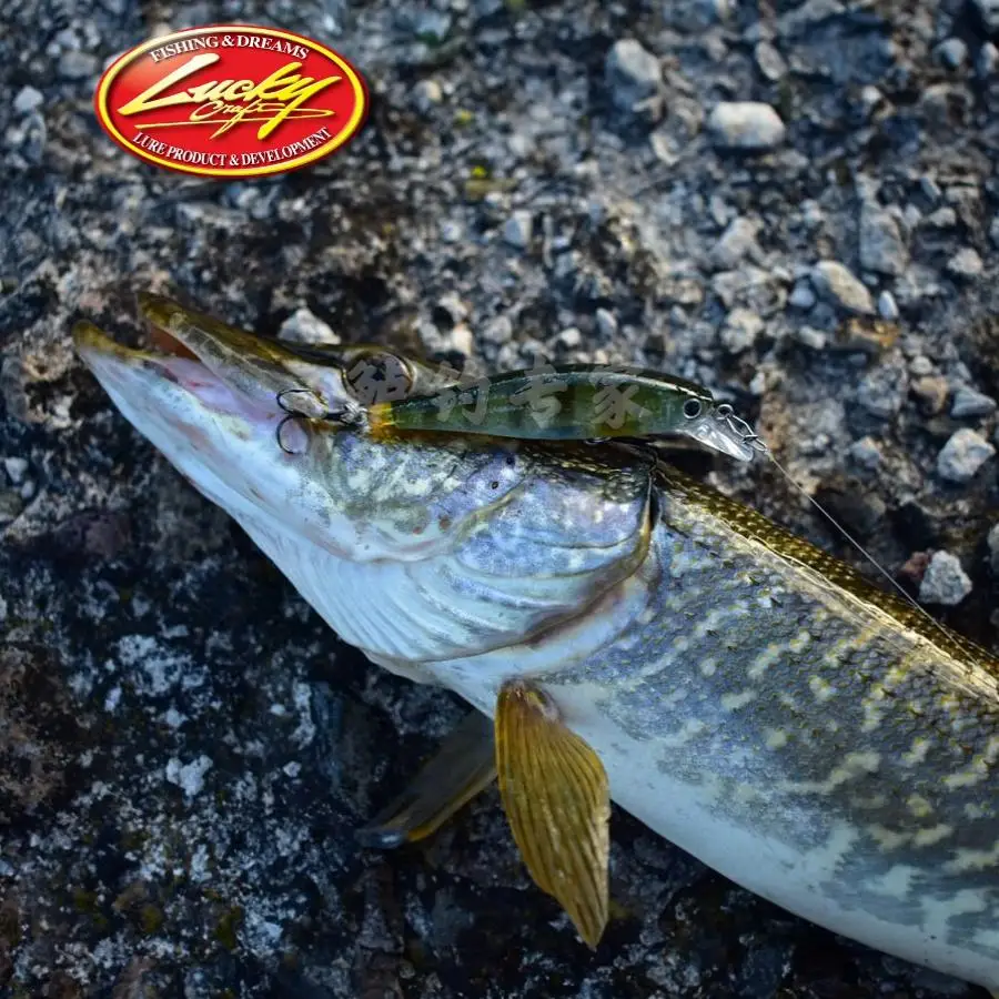 Isca dura importada de EE. UU. Lucky Craft Pointer 65 Mino Omori Guiyang campeón - imagen 3