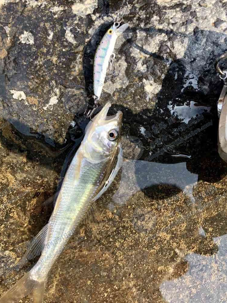 Mijo sumergido Nuo de Japón Smith, mijo de 38, 2,5g, Trembling Micro Matter Stream, Luya Bait - imagen 4