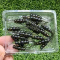 GD26 20PCS  05