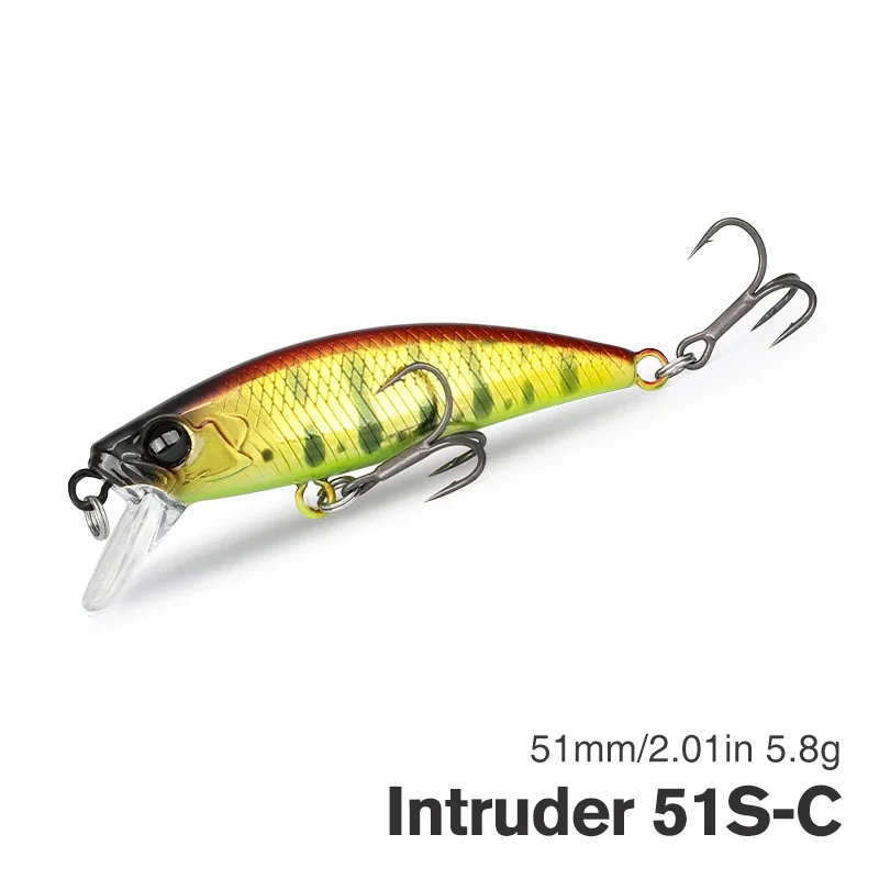 Intruder 51S-C