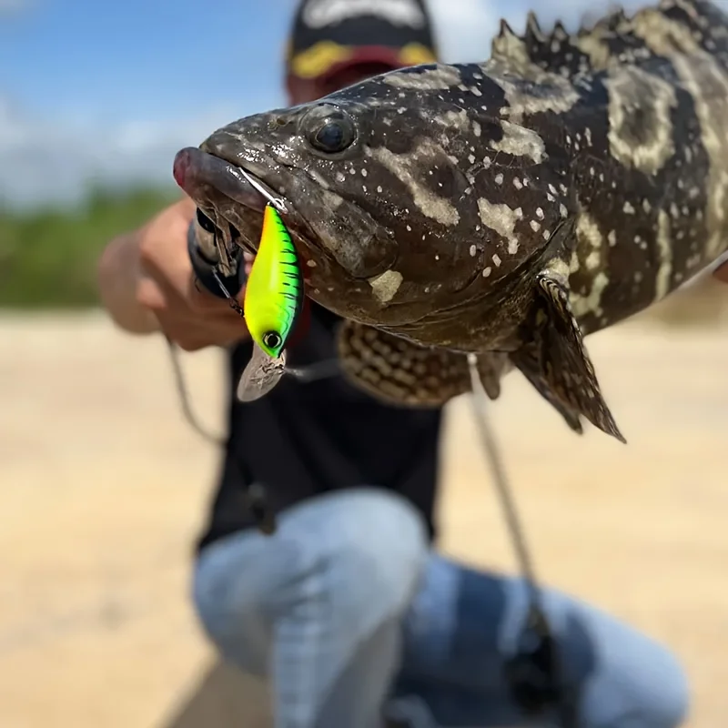 Señuelo de pesca Crankbait, cebos duros artificiales, Jerkbait Wobbler, aparejos de pesca de agua salada, cebo de manivela de lengua larga, 12mm, 20g, 2 uds. - imagen 5