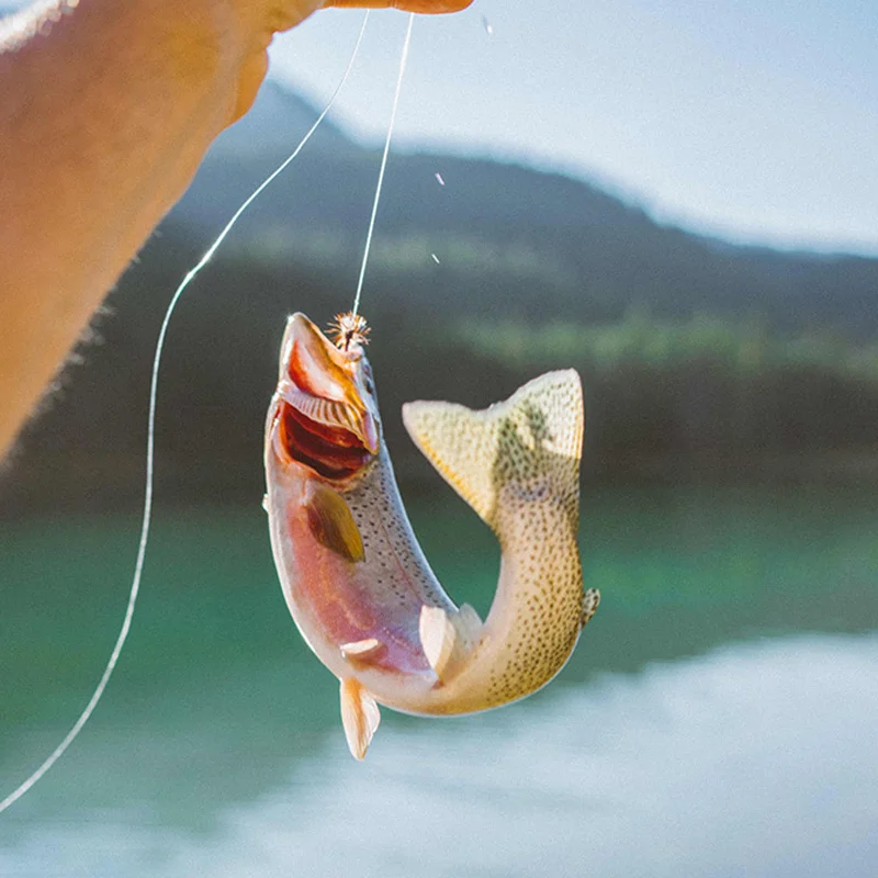Línea trenzada de señuelo X4 para Pesca de carpa, multifilamento, línea de PE japonesa, agua salada, resistencia de 3,9Kg-48,5Kg - imagen 2