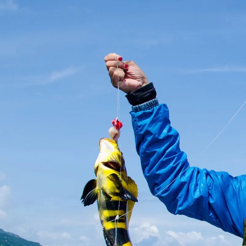 Sedal de pesca de nailon, monofilamento japonés superfuerte, línea principal de 500m, 0,4 #2 #2,5 #, cordón de pesca para agua salada - imagen 5