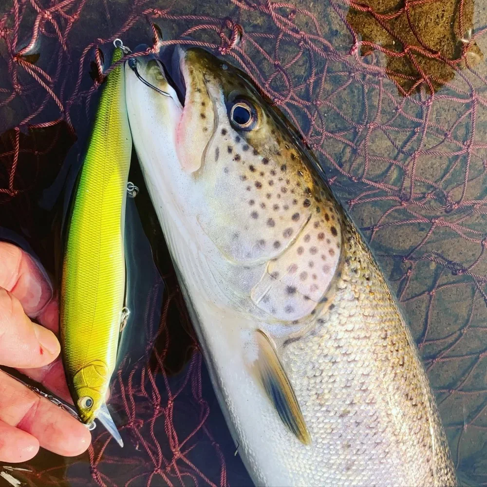 ¡Experimenta la emoción de la pesca con esta impresionante captura!