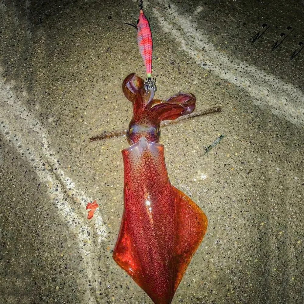 Nuevo Eging calamar Jigging ganchos de madera para camarones 10cm 10g pesca de agua salada Striper cebo Artificial luminoso pulpo sepia señuelos - imagen 3