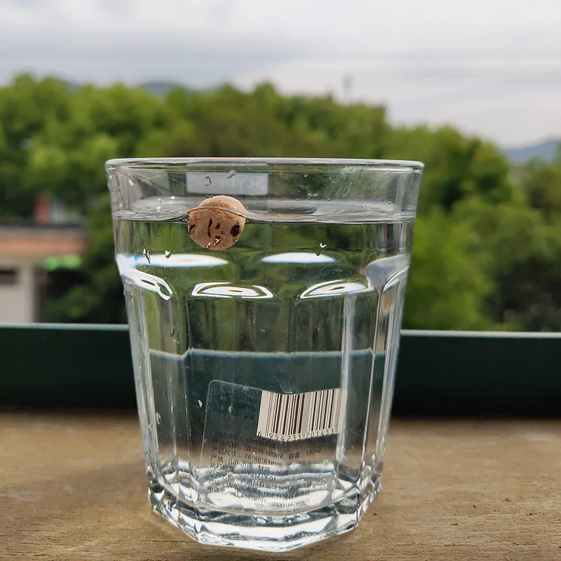 Bolas de corcho flotantes para pesca de carpa, accesorios de gran flotabilidad, 8mm/10mm, lote de 20 unidades - imagen 3