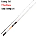 Casting Rod