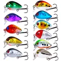 11pcs