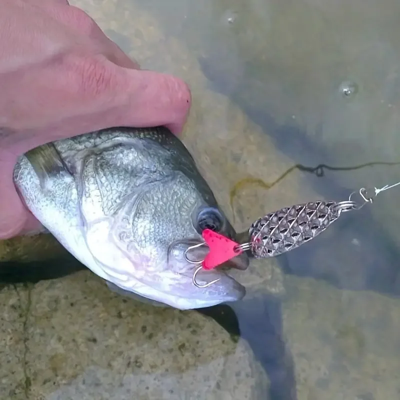 Spinners con plumas para Black Bass – Señuelos metálicos de lance - imagen 2