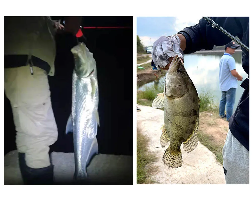 ¡Experimenta la emoción de la pesca con estas impresionantes capturas!