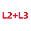 L2 L3