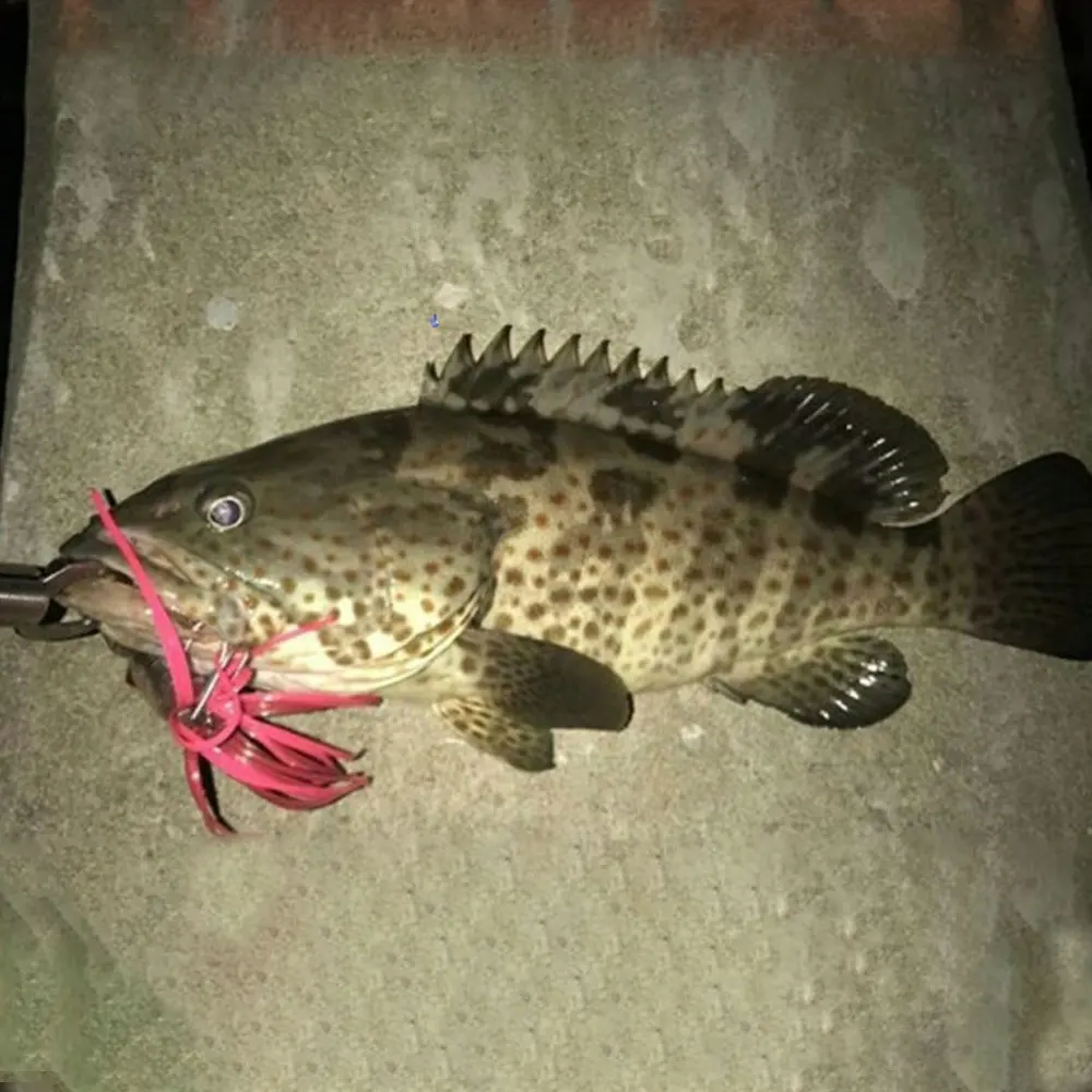 Señuelo Inchiku Madai Wire Bait Octopus Skirt con cabeza metálica - imagen 2