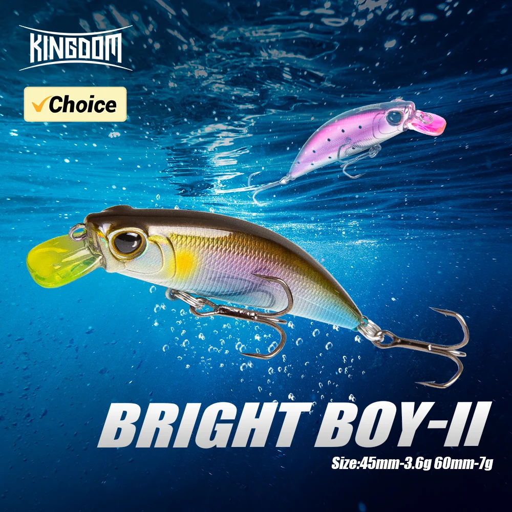 Kingdom Crankbait Hundimiento – Cuerpo Delgado para Lubina y Trucha