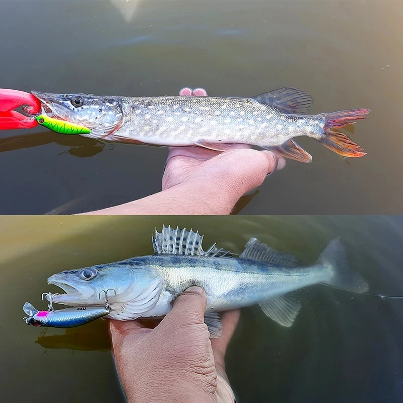 TSURINOYA-señuelo de pesca de 4 piezas, 64mm, 6g, 0-30m, Minnow flotante, Lucio, Jerkbait, cebo duro Artificial, Crankbait - imagen 5