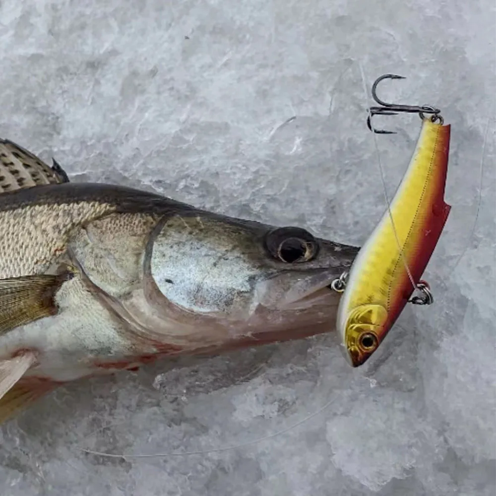 Señuelo de pesca con vibración VIB, 1 piezas, 9cm, 21g de largo, Mimbre fundido, Iscas, Wobbler Artificial, cebo duro, carpa, aparejos de pesca de agua dulce - imagen 4