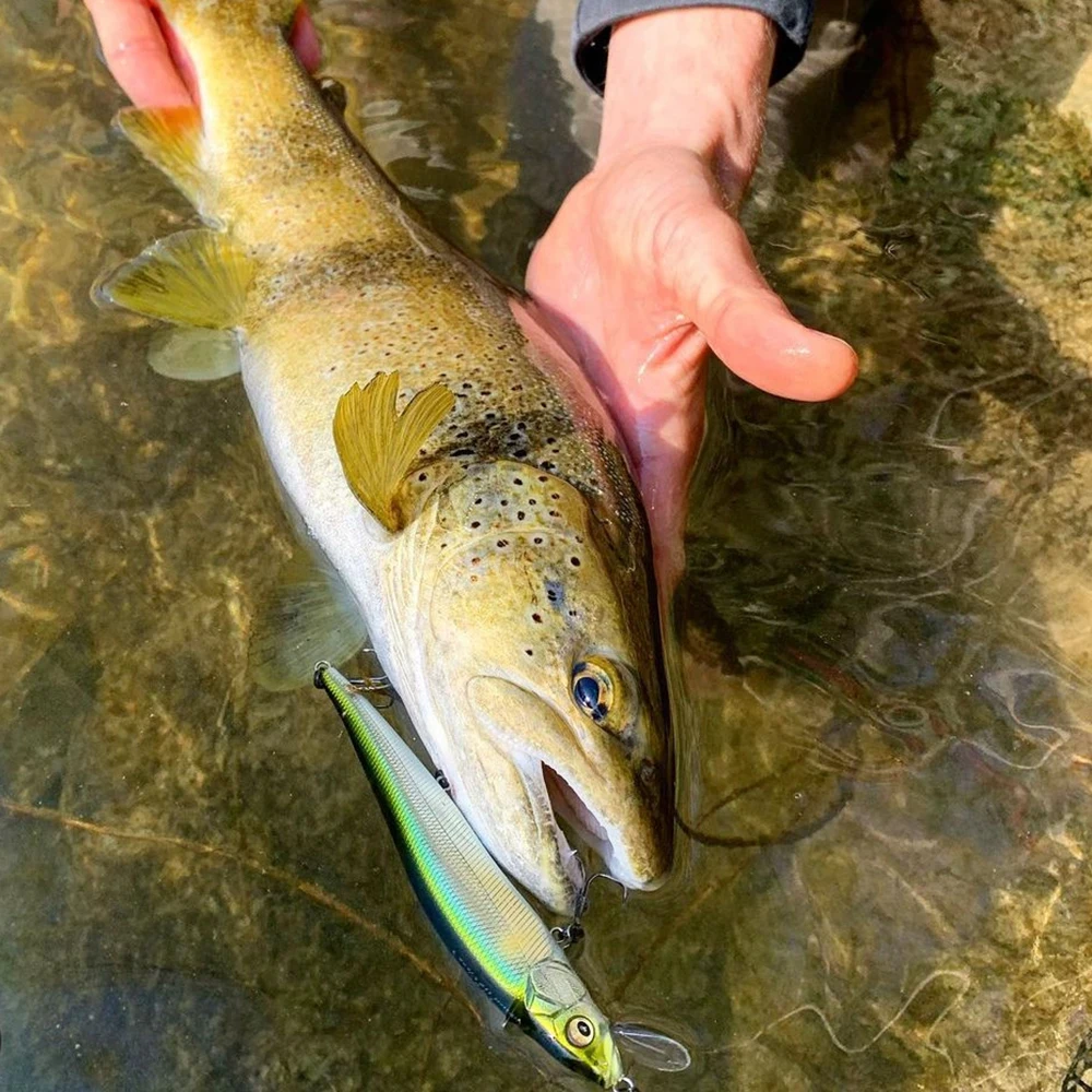 Señuelo duro Artificial para pesca de pececillos Jerkbait, Wobbler, 12cm, 13,6g, Lucio grande, aparejos depredadores - imagen 2