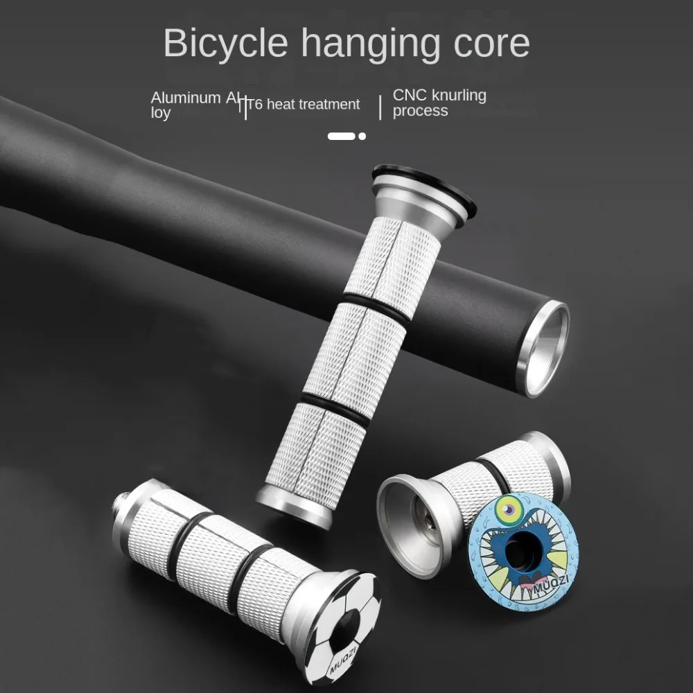 Una imagen en blanco y negro de un núcleo colgante de bicicleta