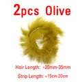 2PCS Olive