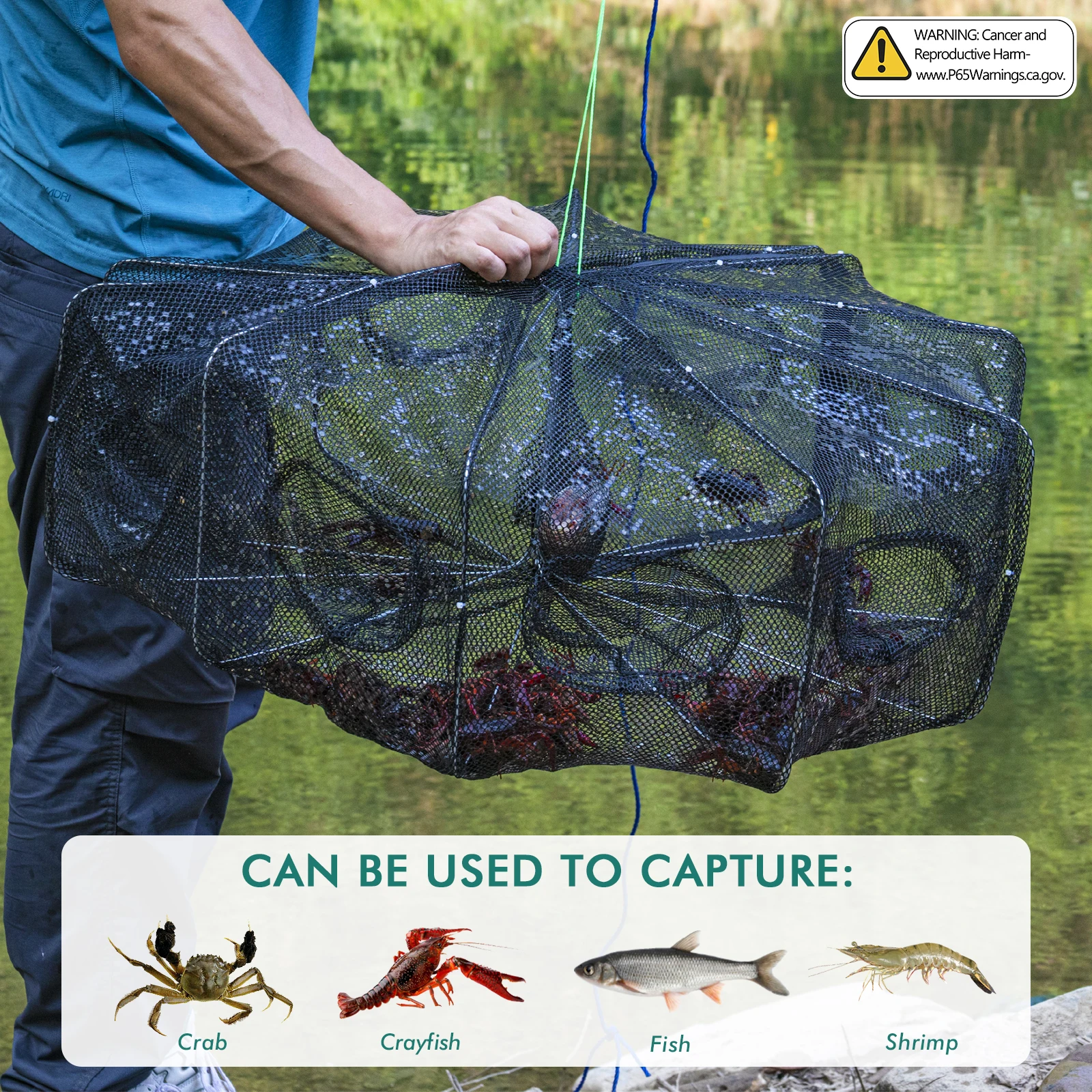 Jaula de red de pesca doblada con 6 agujeros, malla portátil, receptor de cangrejos, fundición de peces, cangrejos, camarones, anguilas fundidas, trampas de pesca - imagen 3