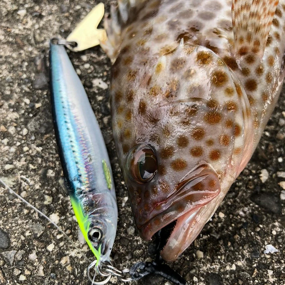 Señuelo de pesca de agua salada, anzuelo de Metal 3D, Jigging de orilla, 40g, 60g, 80g, cuchara dura fundida de arrastre, cebo de trucha de lubina de mar para atún Mahi Marlin - imagen 5