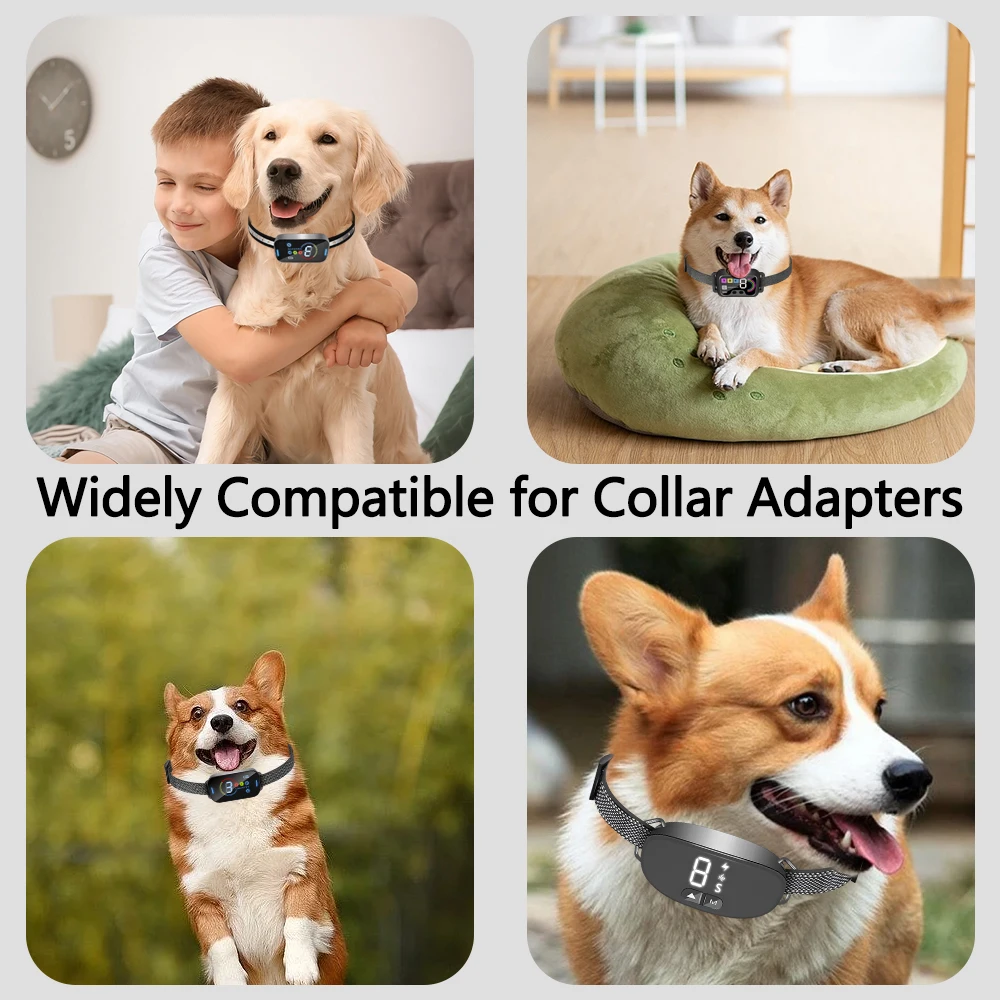 Receptores de choque para Collar de perro, correa ajustable, duradera, impermeable, sin olor, 3/4 pulgadas, para la mayoría de los entrenamientos electrónicos - imagen 5