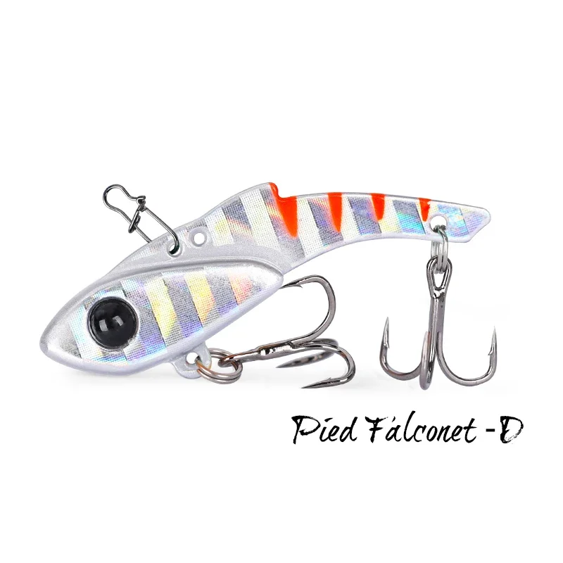 Pied Falconet-D