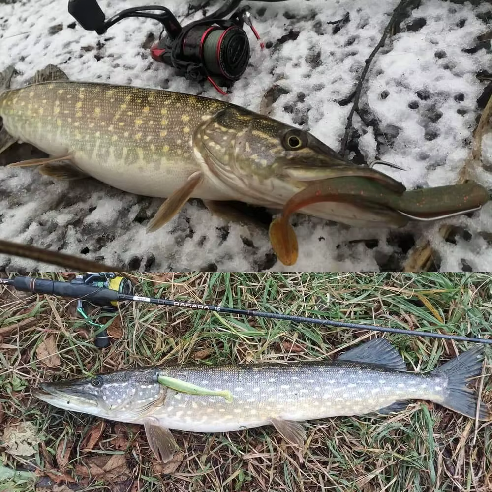 Kesfishing Señuelo Blando Paddle Tail – Cola de Paleta para Mar - imagen 4