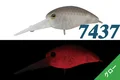 7437