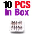 10pcs in box