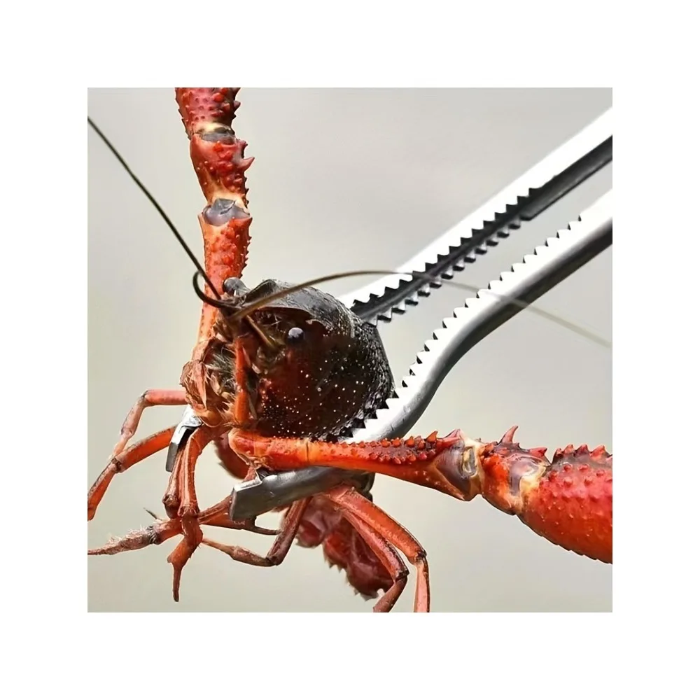 Clip multifuncional de acero inoxidable para cangrejo y langosta, con agarre reforzado antideslizante para cocina y barbacoa, 1 ud. - imagen 3