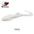 PA12
