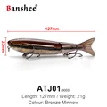 Bronze Minnow