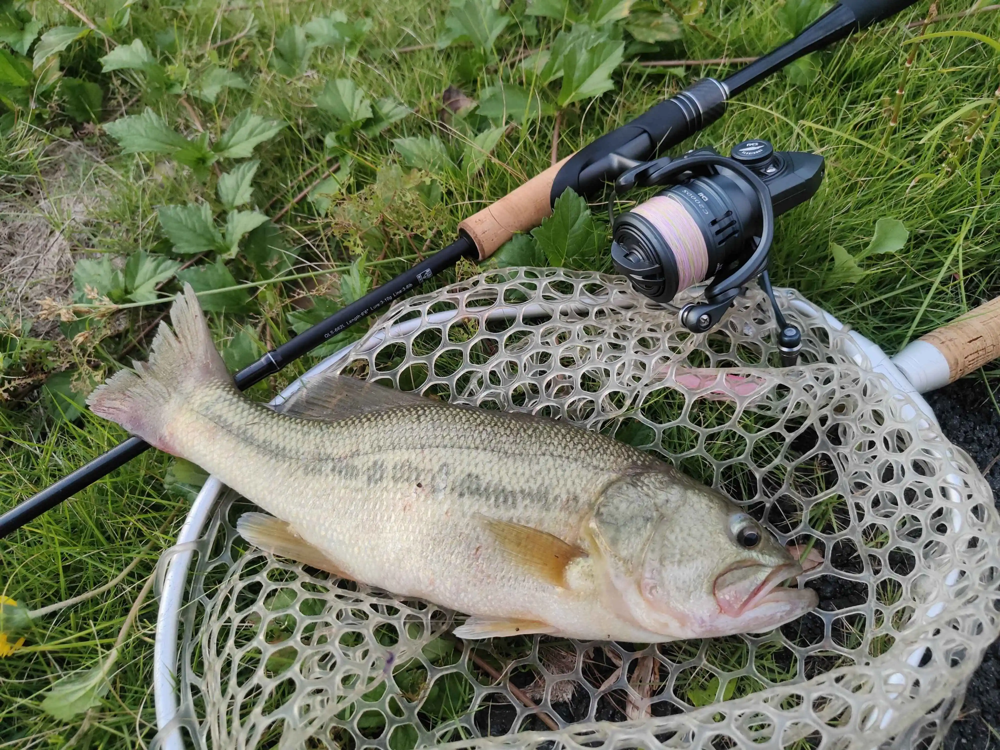 Disfrutando de un día de pesca con pescado recién atrapado