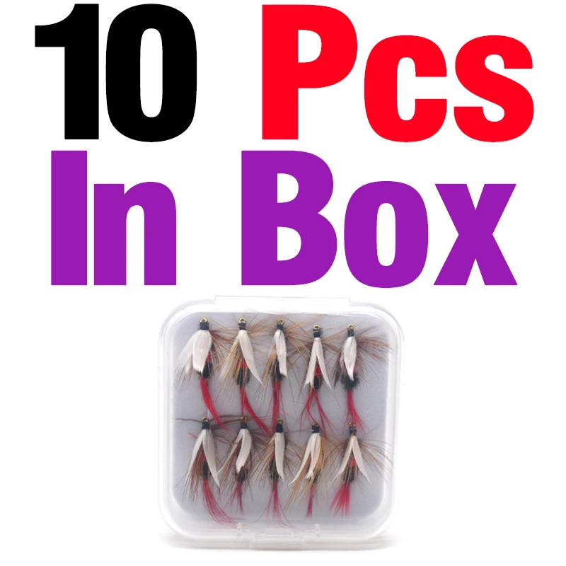 10Pcs in Box