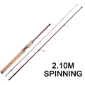 Spinnig S210L 2.1m