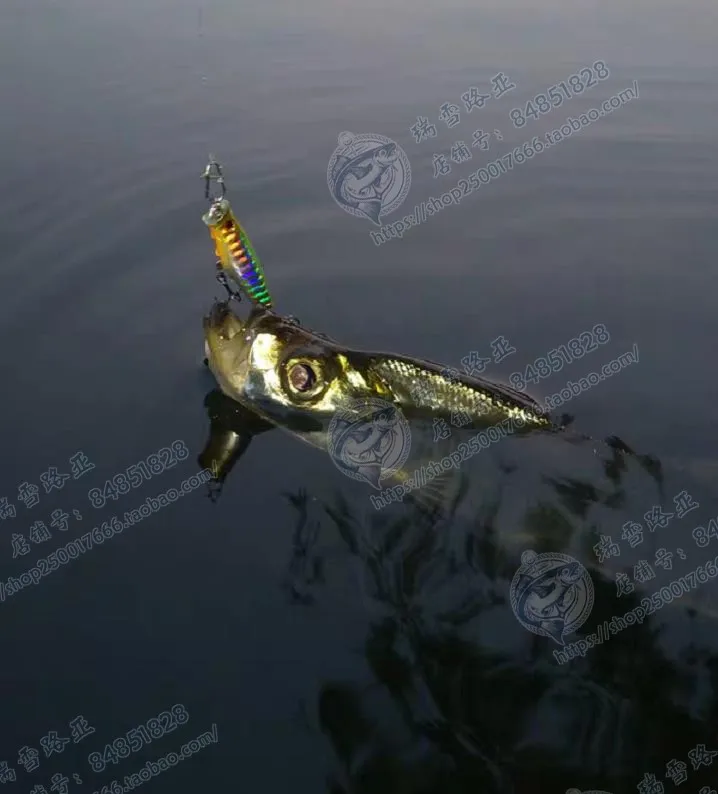 Un señuelo de pesca con cola de arco iris está en el agua