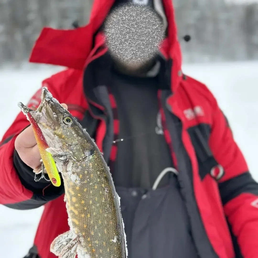 Señuelo de pesca en hielo de invierno, 9cm/26g, hundimiento Isca, vibración Artificial de Rattlin, cebo duro VIB, Crankbait Frapp, señuelo giratorio con cabeza de látigo - imagen 4