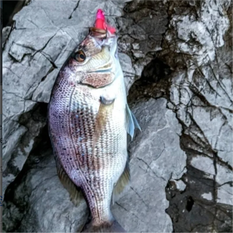 D1 señuelo de pesca suave con cabeza de plantilla, cebo de pececillo negro, 3 tags, 85mm/15g, Wobblers de silicona, cuchara giratoria para lubina, aparejos Leurre - imagen 5