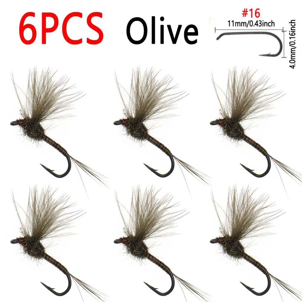 6pcs Olive