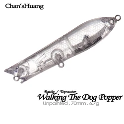 Chan'Shuang Popper Señuelo Flotante Superficie