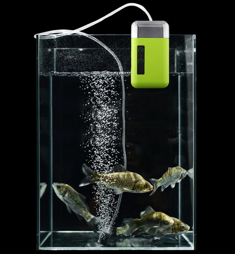 Experimente la belleza serena de un próspero ecosistema acuático con nuestra innovadora solución de peces