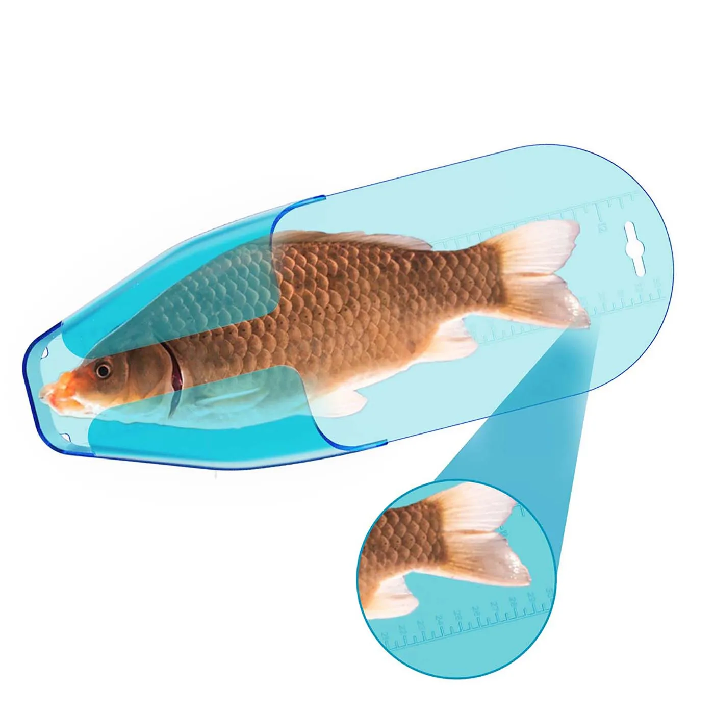 Dispositivo de medición Crappie, mide hasta 12 pulgadas, comprobación rápida sin desenganchar, construcción duradera, fácil de limpiar - imagen 4