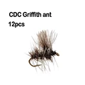 CDC Griffith ant