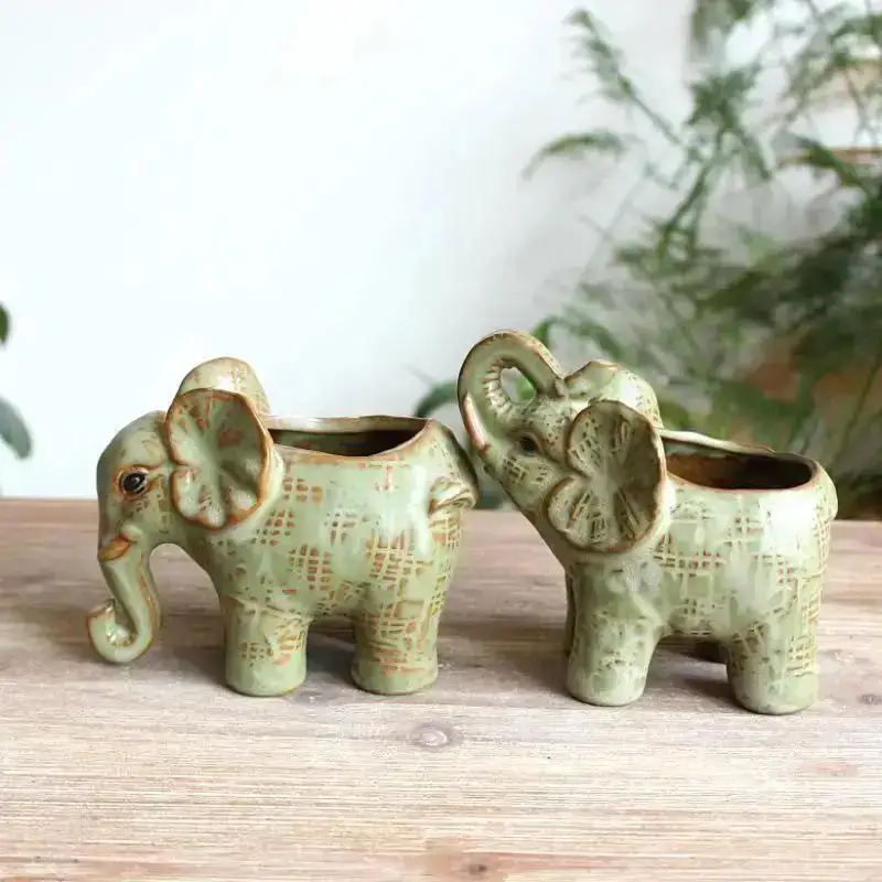 Maceta elefante en ambiente interior