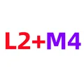 L2 M4