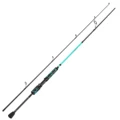 Spinning Rod